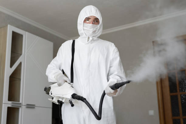 Why You Should Choose Our Mold Remediation Services in Cleves, OH